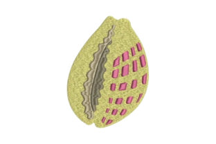 Seashell Embroidery Design Review